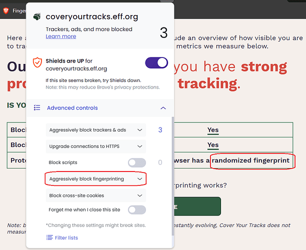 Brave Browser - między prywatnością a kontrowersjami (część 2)
